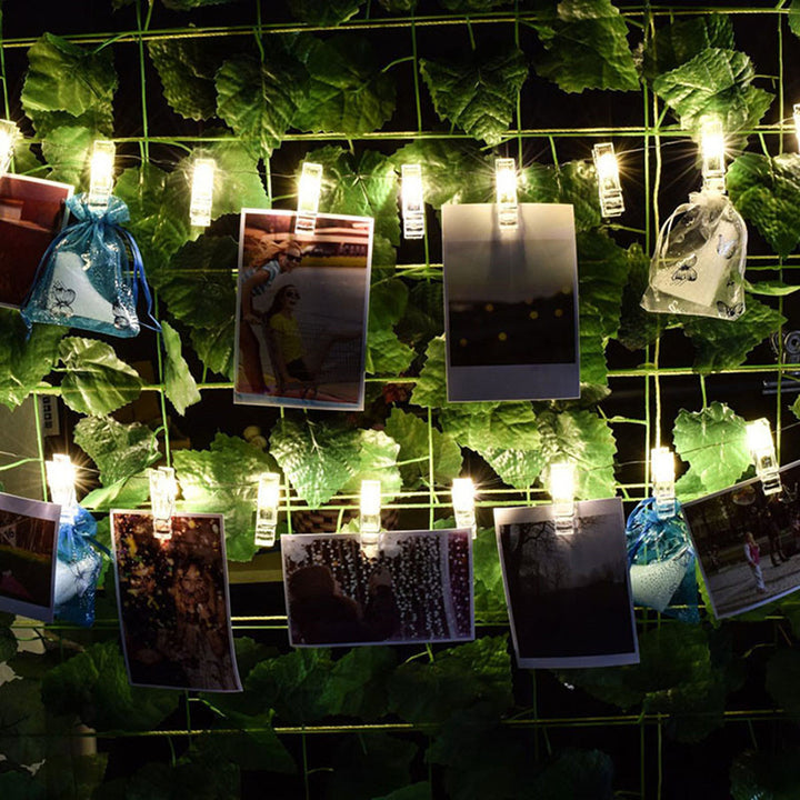 发光的照片花环LED摄影室内装饰